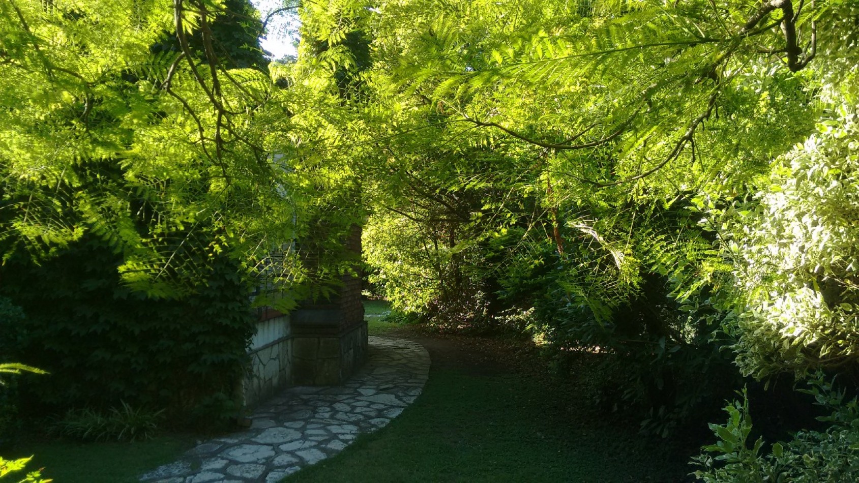 UNICO LOTE DE 1000M2 IDEAL PROYECTO