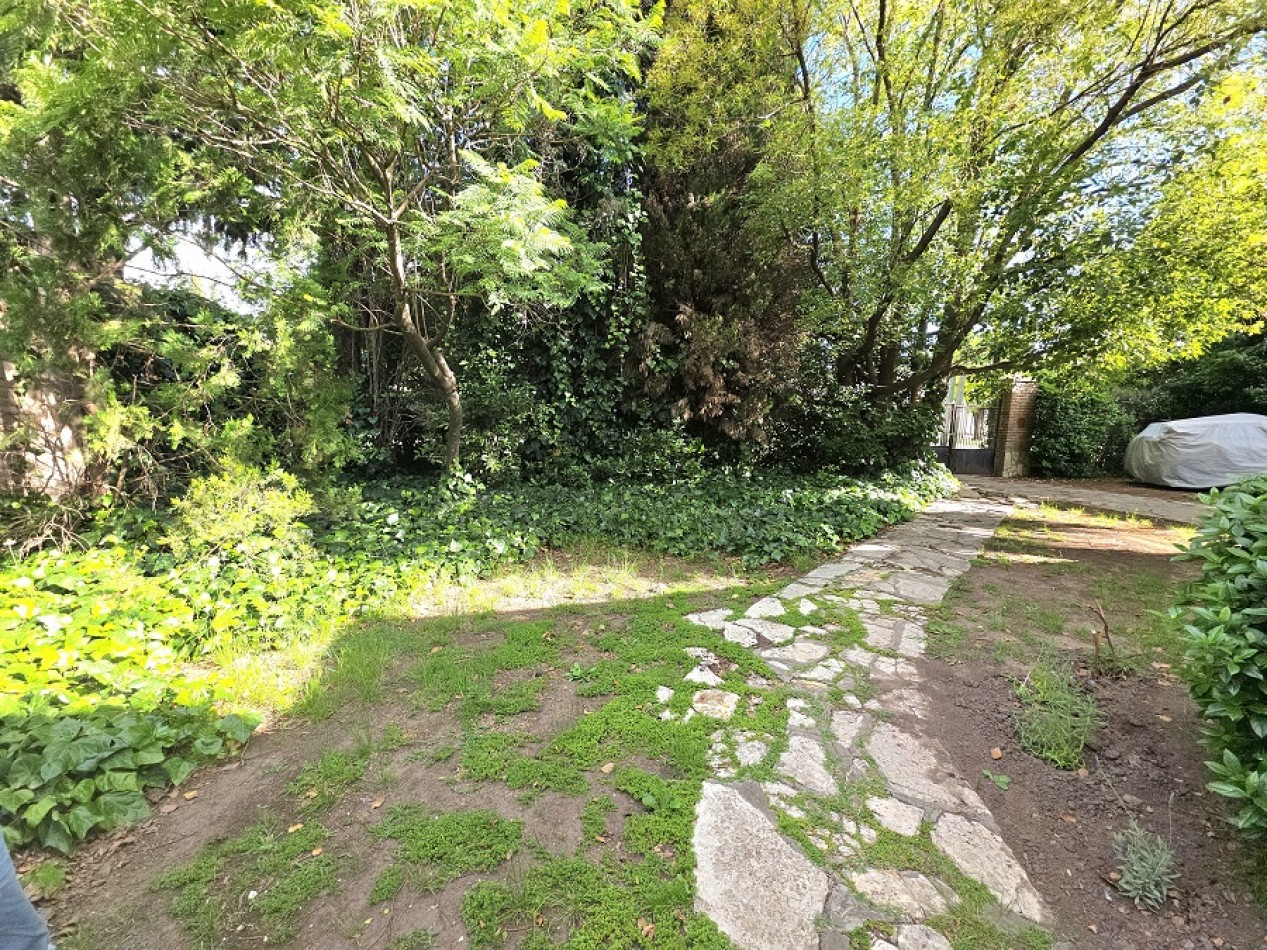 UNICO LOTE DE 1000M2 IDEAL PROYECTO