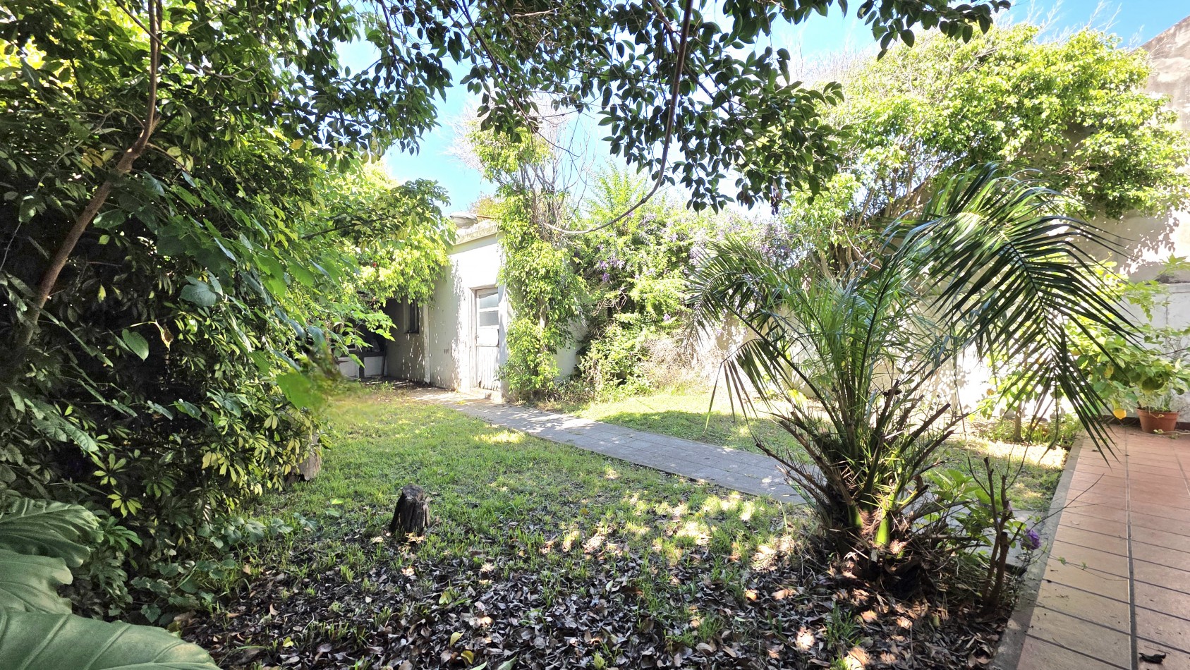 CASA 4 AMBIENTES CON FONDO