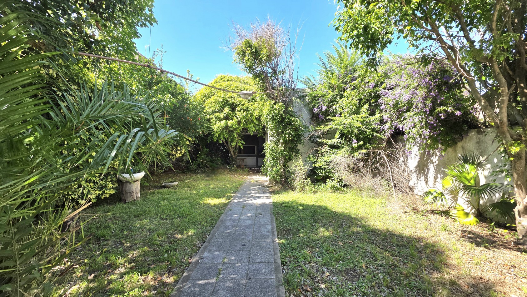 CASA 4 AMBIENTES CON FONDO