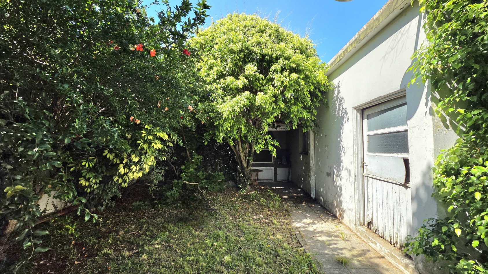 CASA 4 AMBIENTES CON FONDO