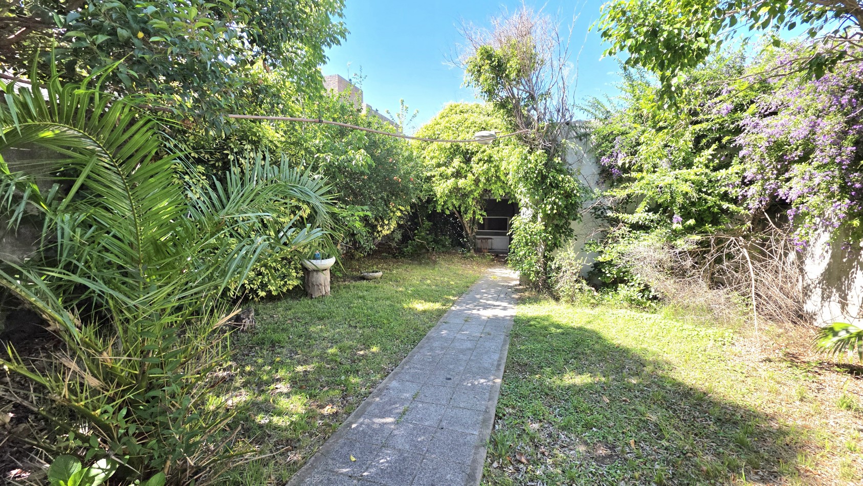 CASA 4 AMBIENTES CON FONDO