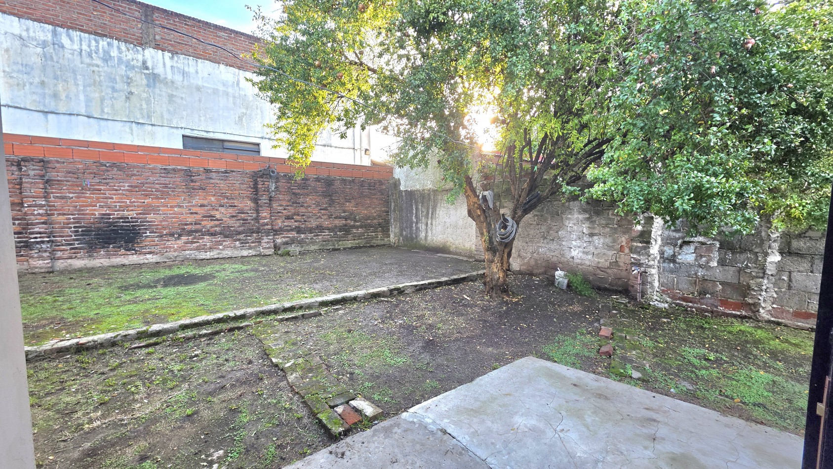 DEPARTAMENTO CON PATIO Y JARDIN 