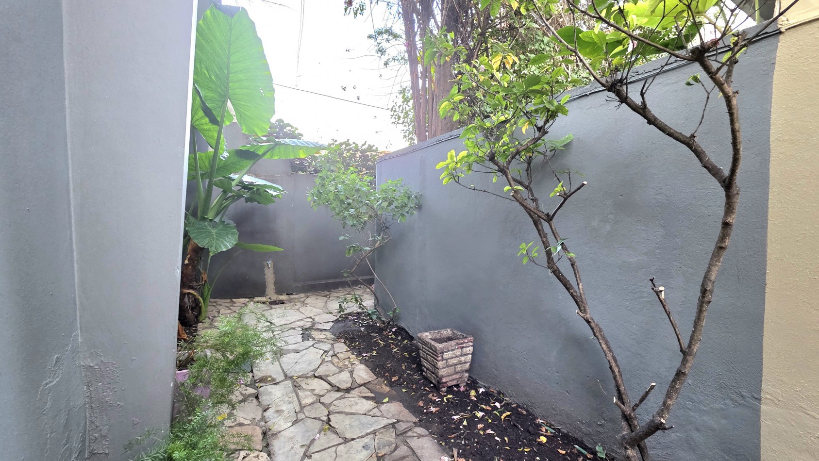 PH DE CATEGORIA EN LOMAS DE ZAMORA