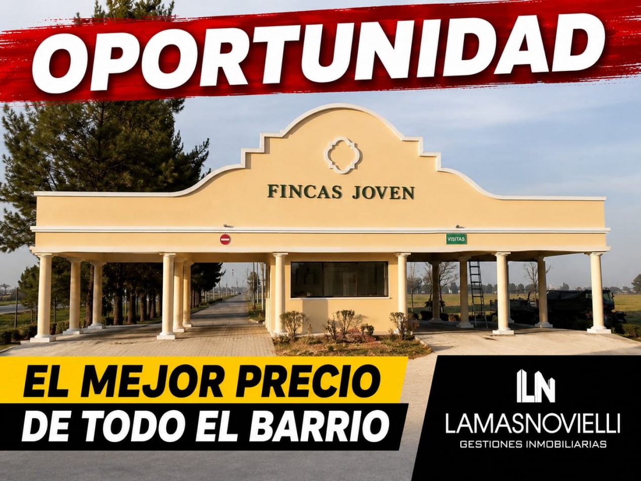 LOTE "URGENTE POR VIAJE"