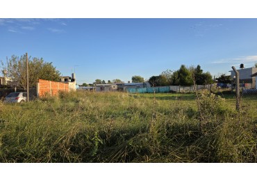 LOTE
