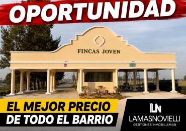 LOTE "URGENTE POR VIAJE"